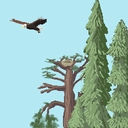 Bonus Background 5